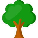 arbol