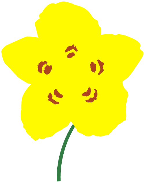 Halimium viscosum