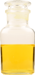 bottle_y
